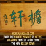 Chinese - Languages of Future