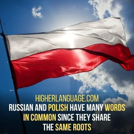 Polish - Languages Similar To Russian