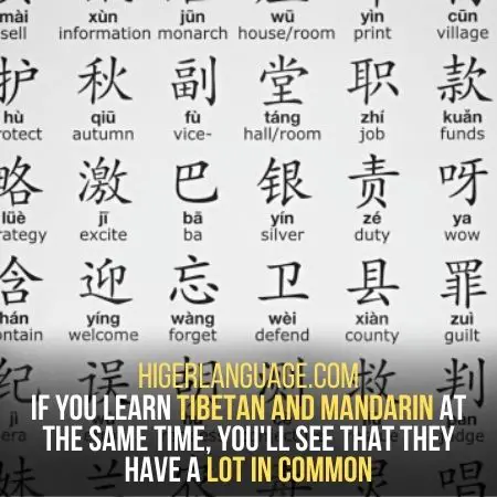 Mandarin - Languages Similar To Tibetan