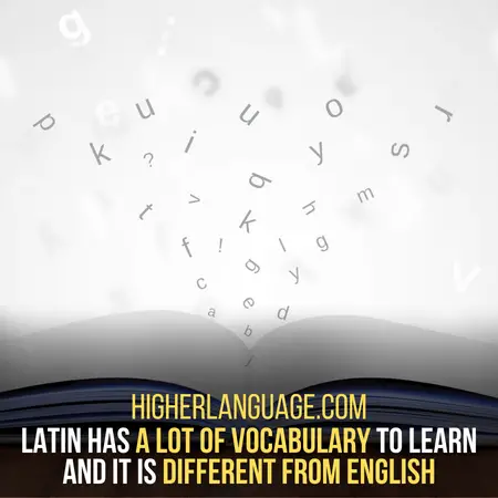 Latin vocabulary