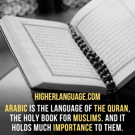 Arabic is the language of the Quran, the Holy book for Muslims. And It holds much importance to them. - Easiest Languages To Learn For Arabic Speakers