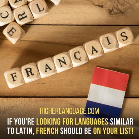 French Has Various Commonalities With Latin