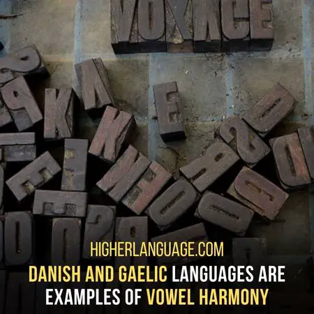 Gaelic Also Have Vowel Harmony Like Danish