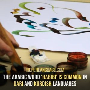 Languages Similar To Dari - Here Are 10 Relevant Languages!