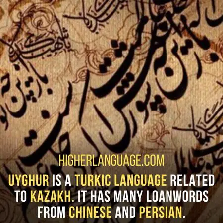 Uyghur is a Turkic language related to Kazakh. It has many loanwords from Chinese and Persian. - Languages Similar To Kazakh