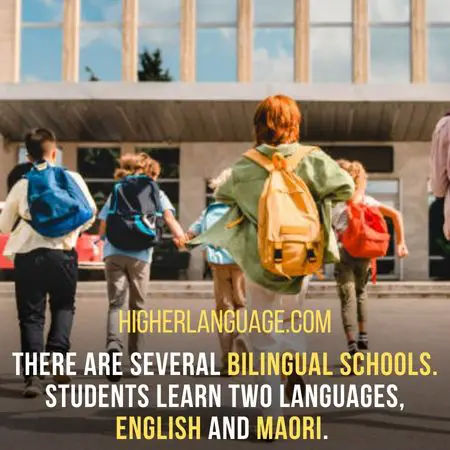 There are several bilingual schools. Students learn two languages, English and Maori. - Do People Speak English In New Zealand?