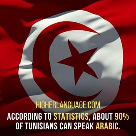 According to statistics, about 90% of Tunisians can speak Arabic. - Do People Speak English In Tunisia?
