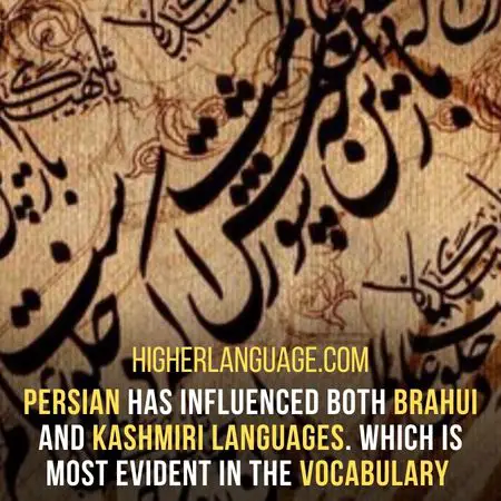 Persian has influenced both Brahui and Kashmiri languages. Which is most evident in the vocabulary - Languages Similar To Kashmiri