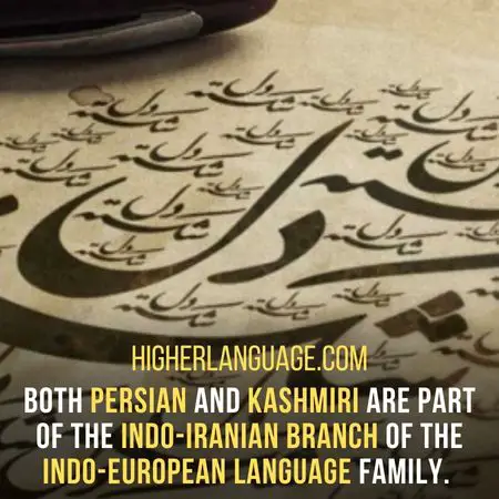 Both Persian and Kashmiri are part of the Indo-Iranian branch of the Indo-European language family. - Languages Similar To Kashmiri