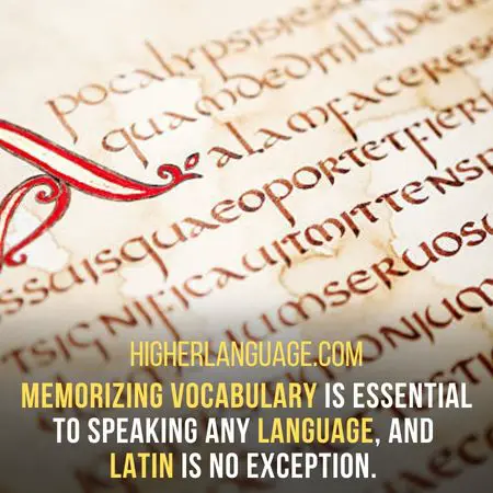 Memorizing vocabulary is essential to speaking any language, and  Latin is no exception. - How Long Does It Take To Learn Latin?