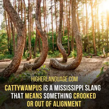 Cattywampus - Crooked Or Out Of Alignment