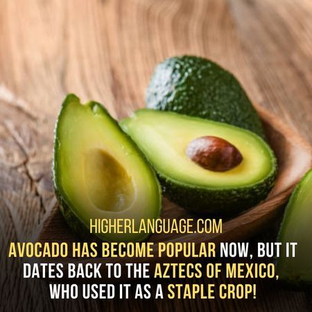 Alligator Pear - Another Name For An Avocado