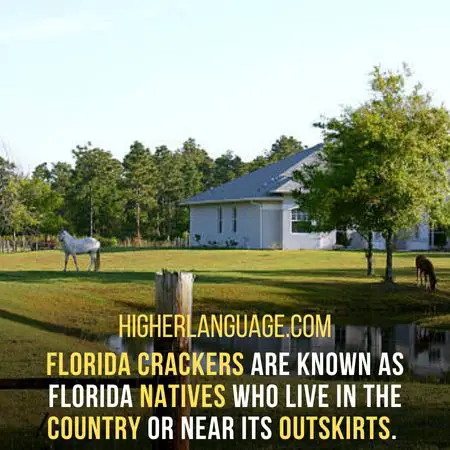 Florida crackers are known as Florida natives who live in the country or near its outskirts. - Florida Slang Words And Phrases.
