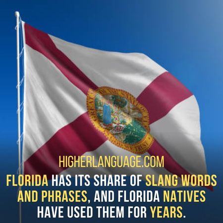 Florida has its share of slang words and phrases, and Florida natives have used them for years. - Florida Slang Words And Phrases.