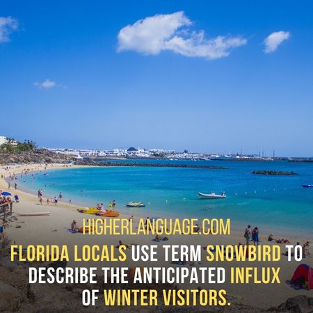 Florida locals use term snowbird to describe the anticipated influx of winter visitors. - Florida Slang Words And Phrases.
