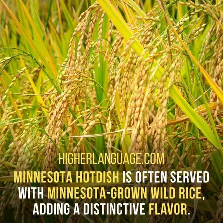 Minnesota hotdish is often served with Minnesota-grown wild rice, adding a distinctive flavor. - Minnesota Slang Words And Phrases.