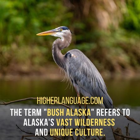 The term "Bush Alaska" refers to Alaska's vast wilderness  and unique culture. - Alaska Slang Words And Phrases.