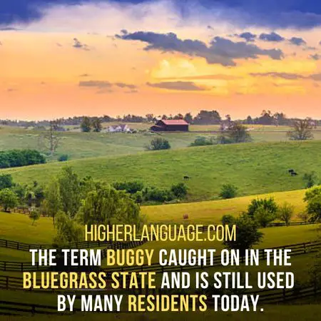 The term buggy caught on in the Bluegrass State and is still used by many residents today. - Kentucky Slang Words And Phrases.