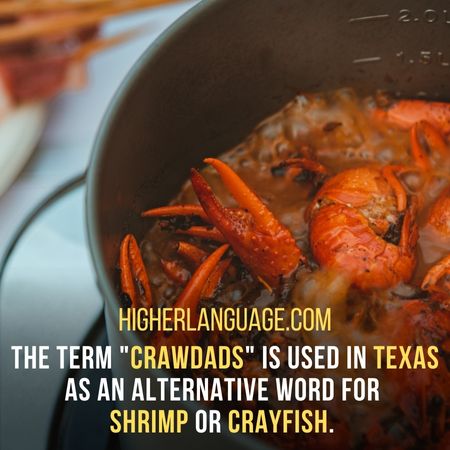 The term "crawdads" is used in Texas as an alternative word for shrimp or crayfish. - Texas Slang Words And Phrases.