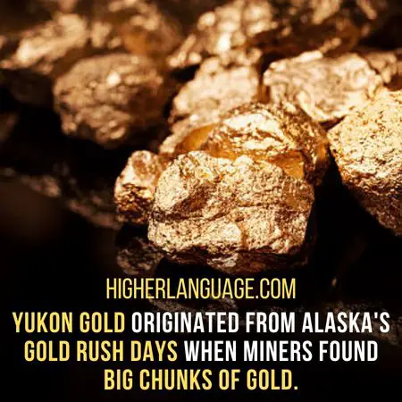 Yukon Gold originated from Alaska's gold rush days when miners found big chunks of gold. - Alaska Slang Words And Phrases.