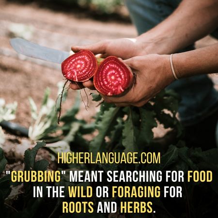 "grubbing" meant searching for food in the wild or foraging for roots and herbs. - South Carolina Slang Words And Phrases.