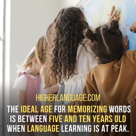  The ideal age for memorizing words is between five and ten years old when language learning is at peak. -  How Many Words Does The Average Person Know?