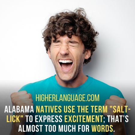 Alabama natives use the term "salt-lick" to express excitement; that’s almost too much for words. - Alabama Slang Words And Phrases.