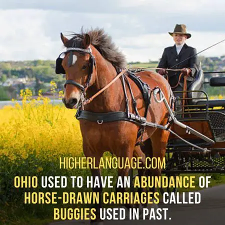 Ohio used to have an abundance of horse-drawn carriages called buggies used in past. - Ohio Slang Words And Phrases.