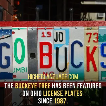 The buckeye tree has been featured on Ohio license plates  since 1987. - Ohio Slang Words And Phrases.