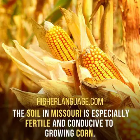 The soil in Missouri is especially fertile and conducive to  growing corn. - Missouri Slang Words And Phrases.