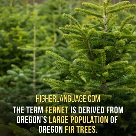 The term Fernet is derived from Oregon’s large population of Oregon fir trees. - Oregon Slang Words And Phrases.