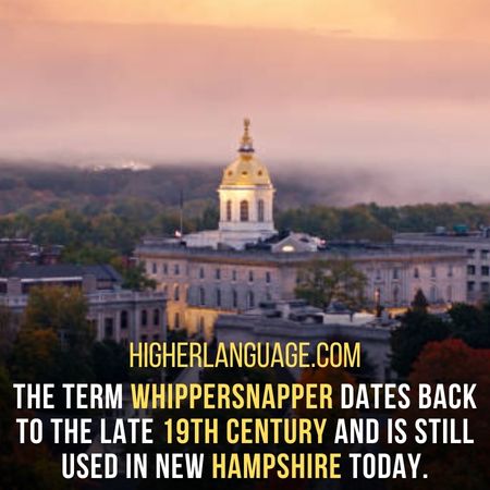 The term whippersnapper dates back to the late 19th century and is still used in New Hampshire today. - New Hampshire Slang Words And Phrases.