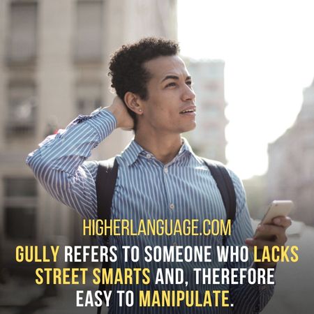 Gully refers to someone who lacks street smarts and, therefore easy to manipulate. - New York Slang Words And Phrases