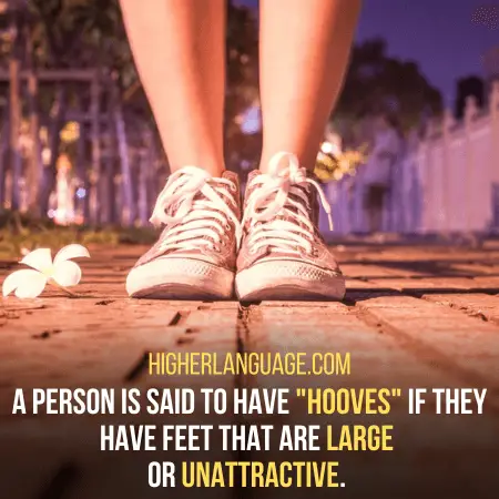 Hooves - Slang words for feet