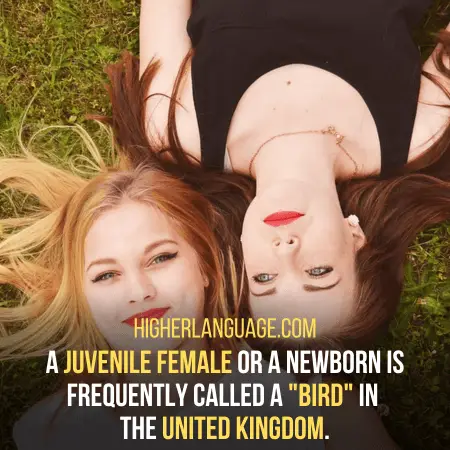 Juvenile female - British Slangs for Women