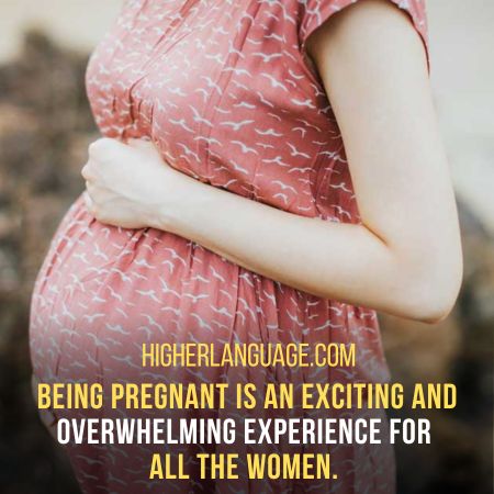 Pregnant - Slang Words For Pregnancy