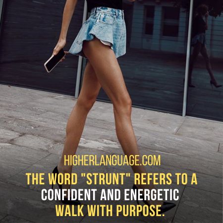 Strunt - Slang Words for nice legs