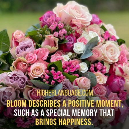 Bloom - Slang Words For Flowers