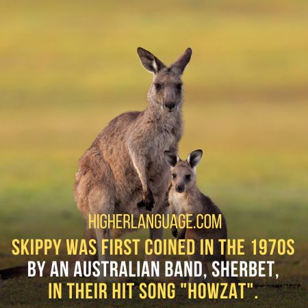 Skippy - Slang Words For Kangaroo