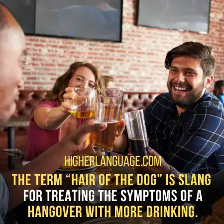 Hair of the dog - Slang Words for Hangover