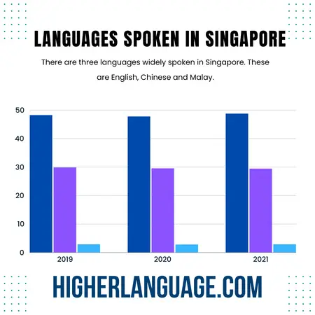 What Language Do They Speak In Singapore