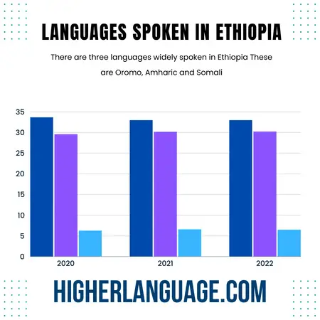 What Language Do They Speak In Ethiopia
